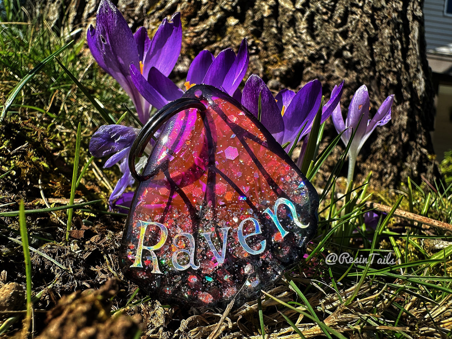 Pet ID Tags - Instagram