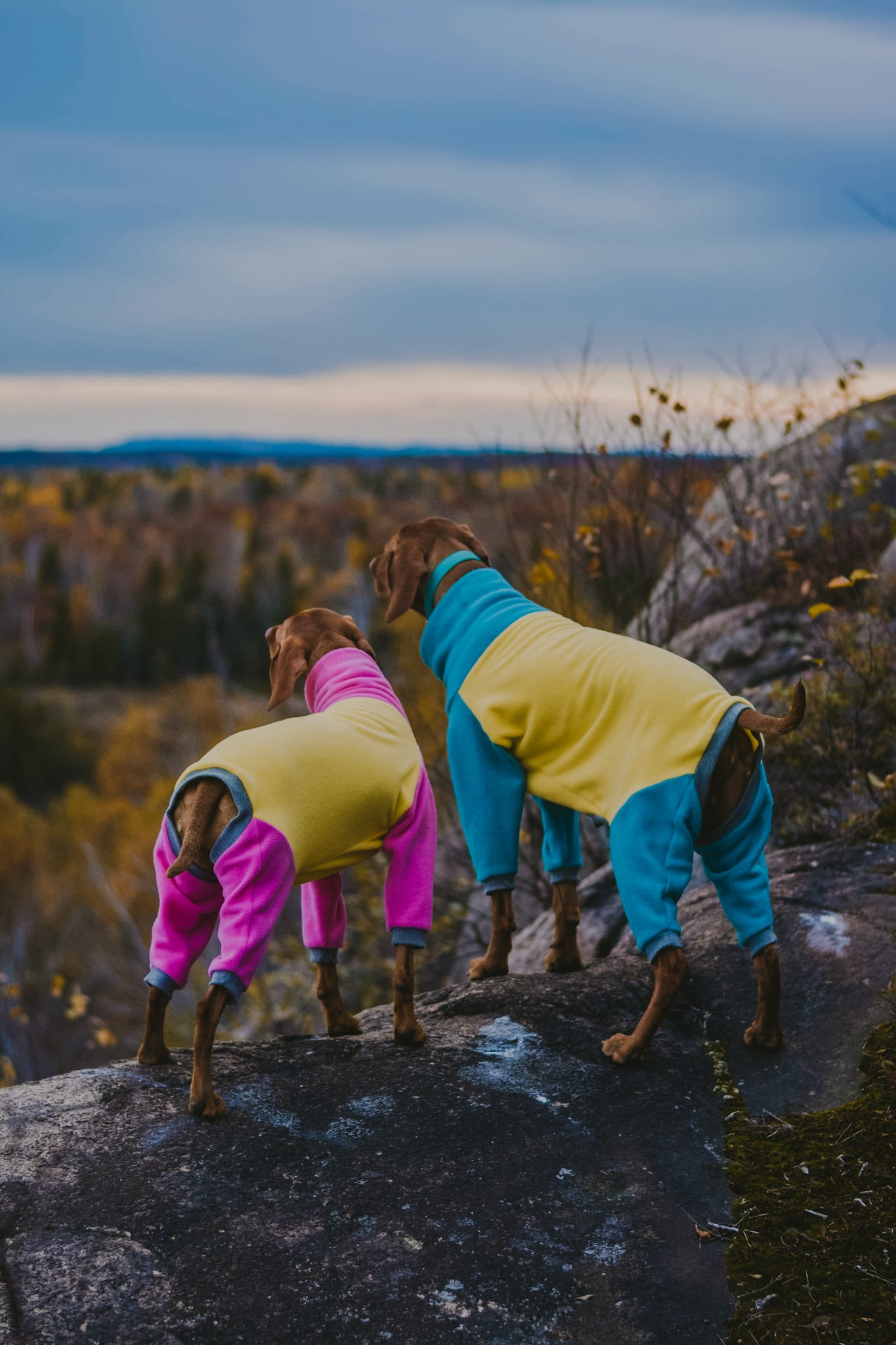 Fleece Onesies