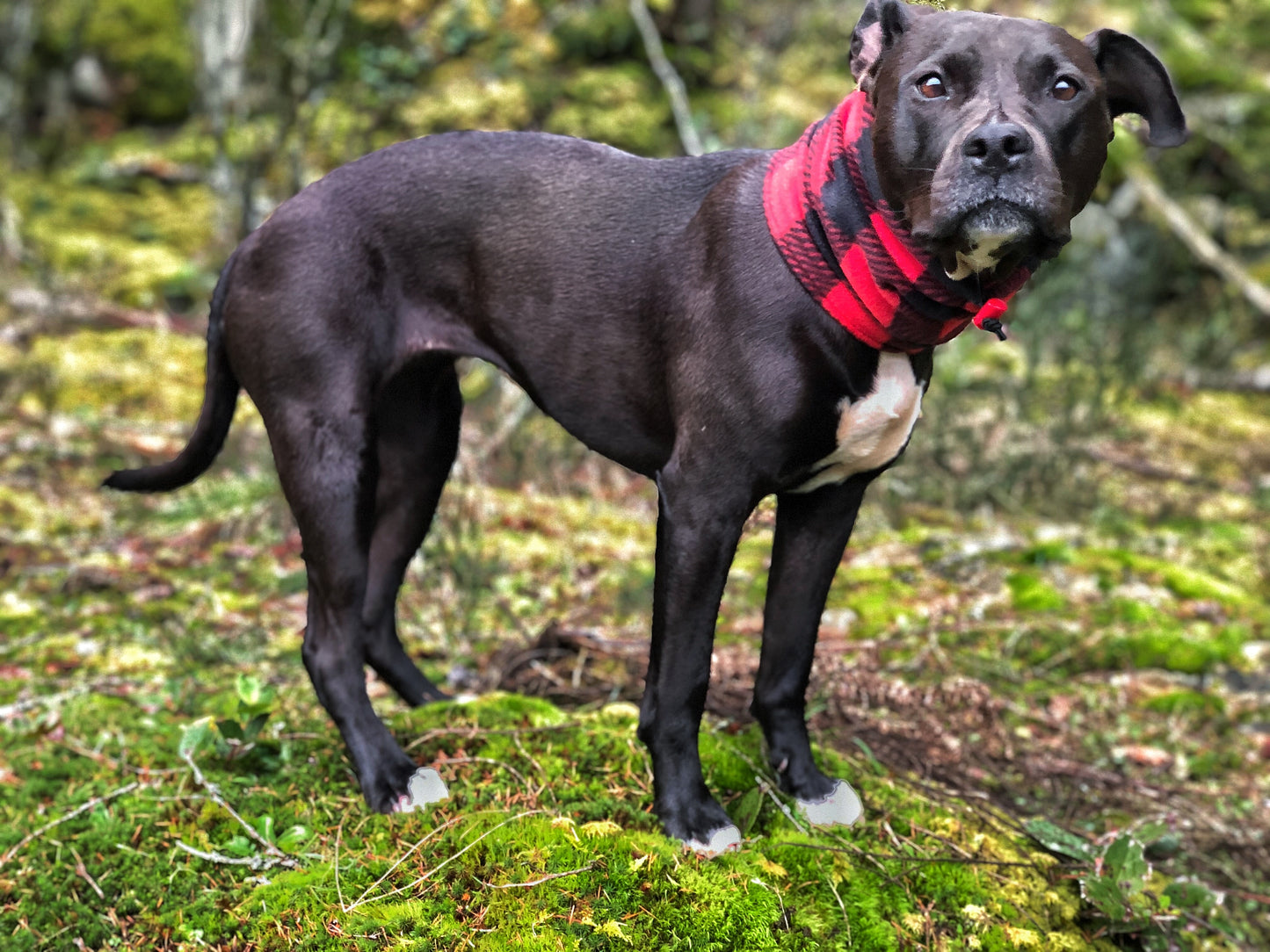 Fleece Snood