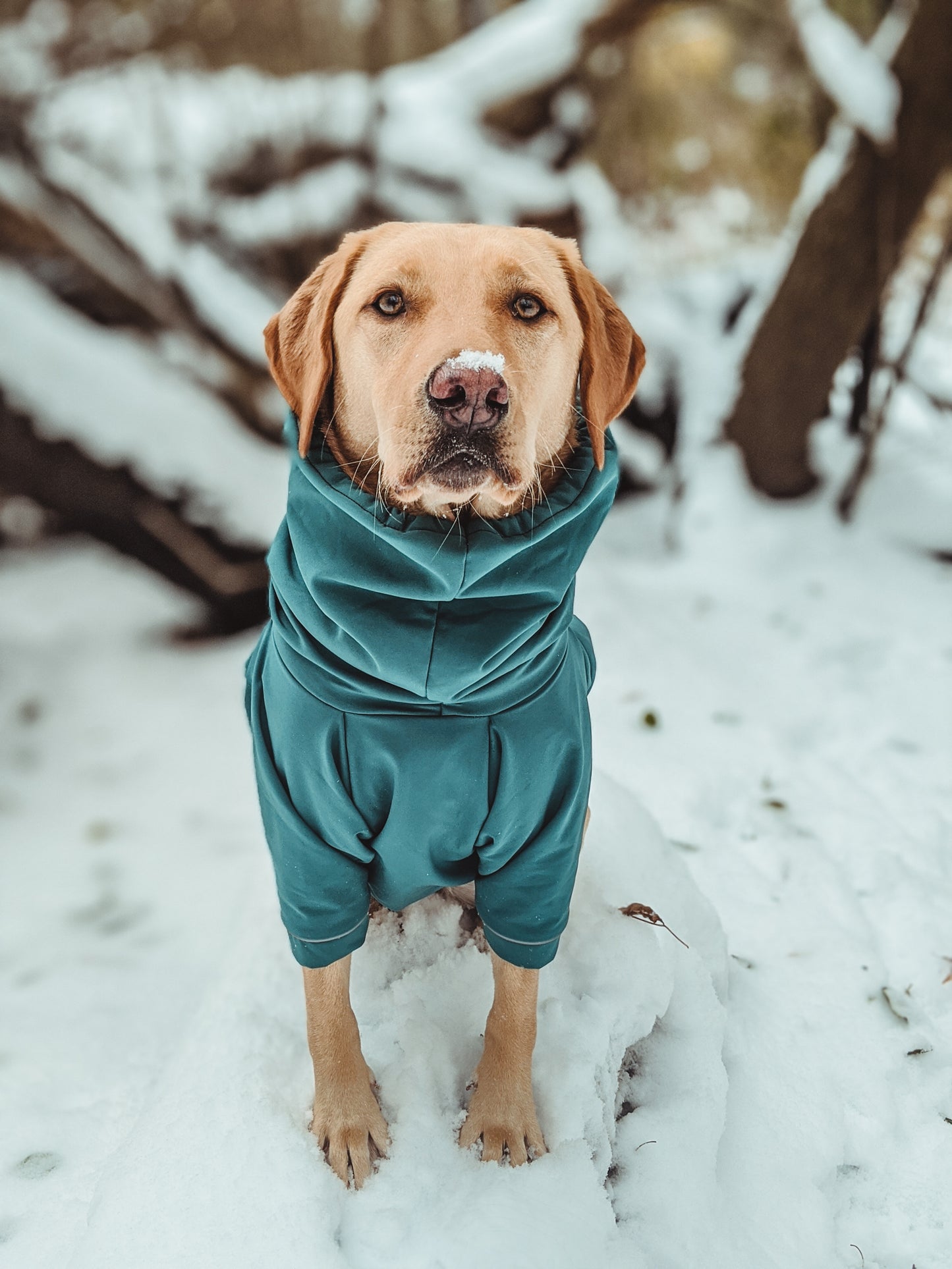 Water Resistant Cozies