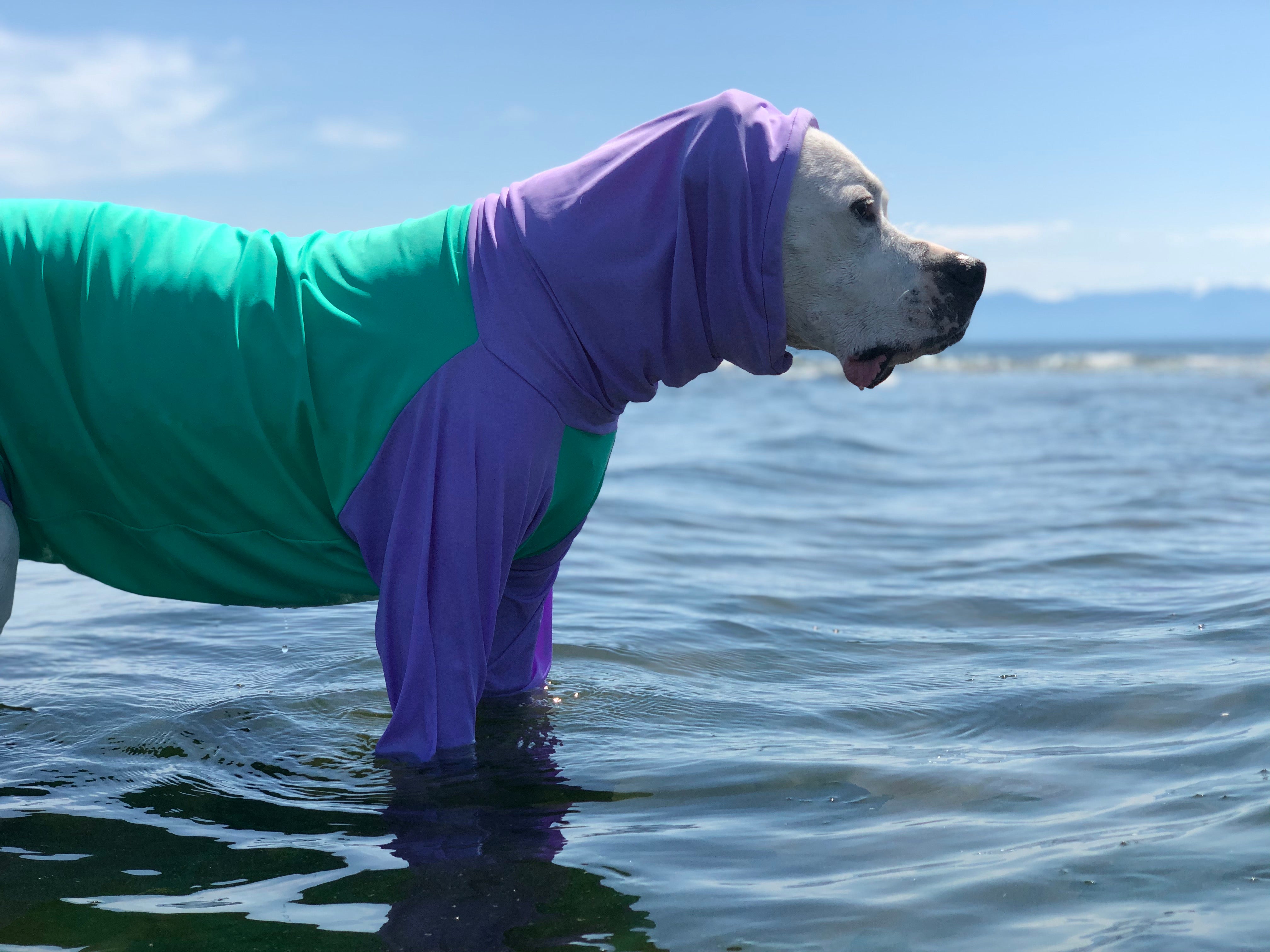 Dog sun 2025 protection suit